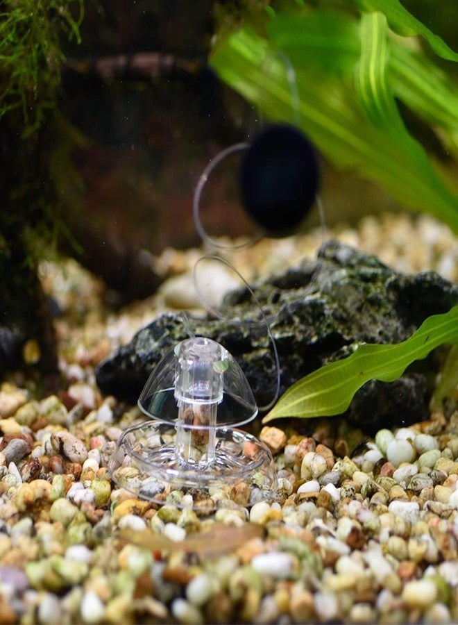 VAYINATO® Transparent Clear Planted Aquarium Fish Tank Snail Trapper Snail Catching Trap Box | Safe and Doesnt Harm Other Aquatic Species | Easy to Use by Petzlifeworld - Image 5